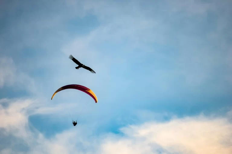 bapteme biplace parapente à Serre chevalier parapente
